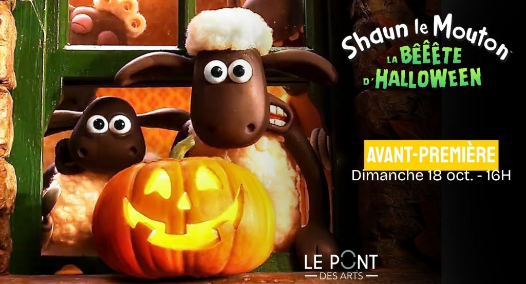 actualité shaun